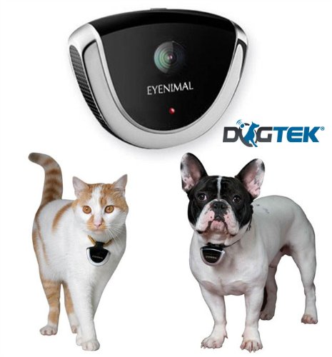 Dogtek Eyenimal Digital Videocam for Pets